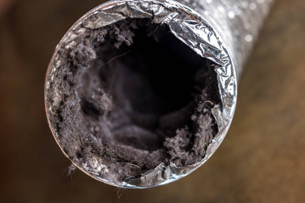 Best Affordable HVAC Duct Cleaning  in Somerton, AZ