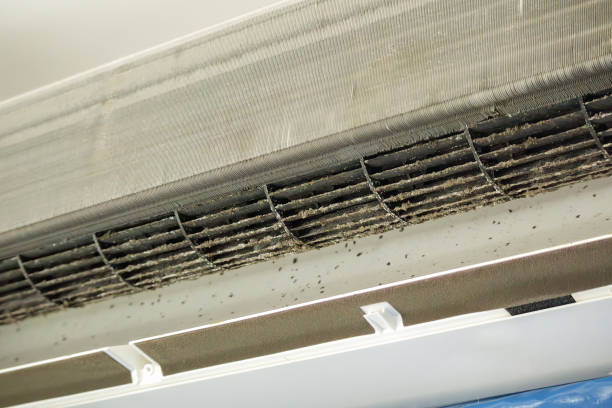 Best Residential Air Duct Cleaning  in Somerton, AZ